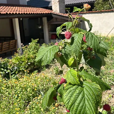 Nature Sarajevo