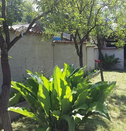 Nature Sarajevo Holiday home *